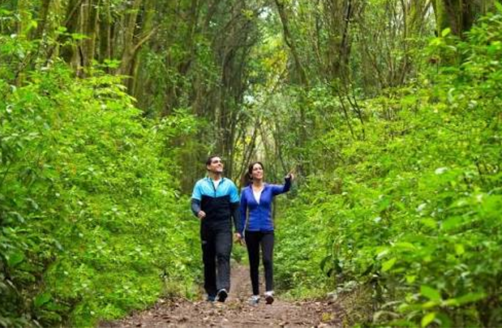 Agenda de actividades en Tucumán: qué hacer este fin de semana