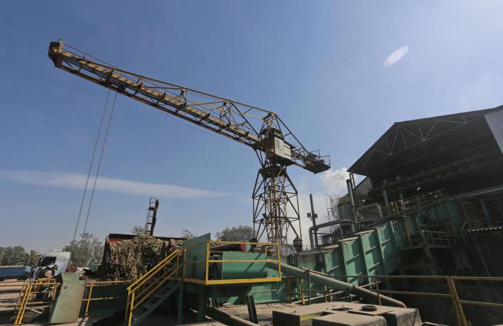 Zafra 2025: Tucumán lidera la producción con avances sostenidos y un aumento del 20% en caña molida