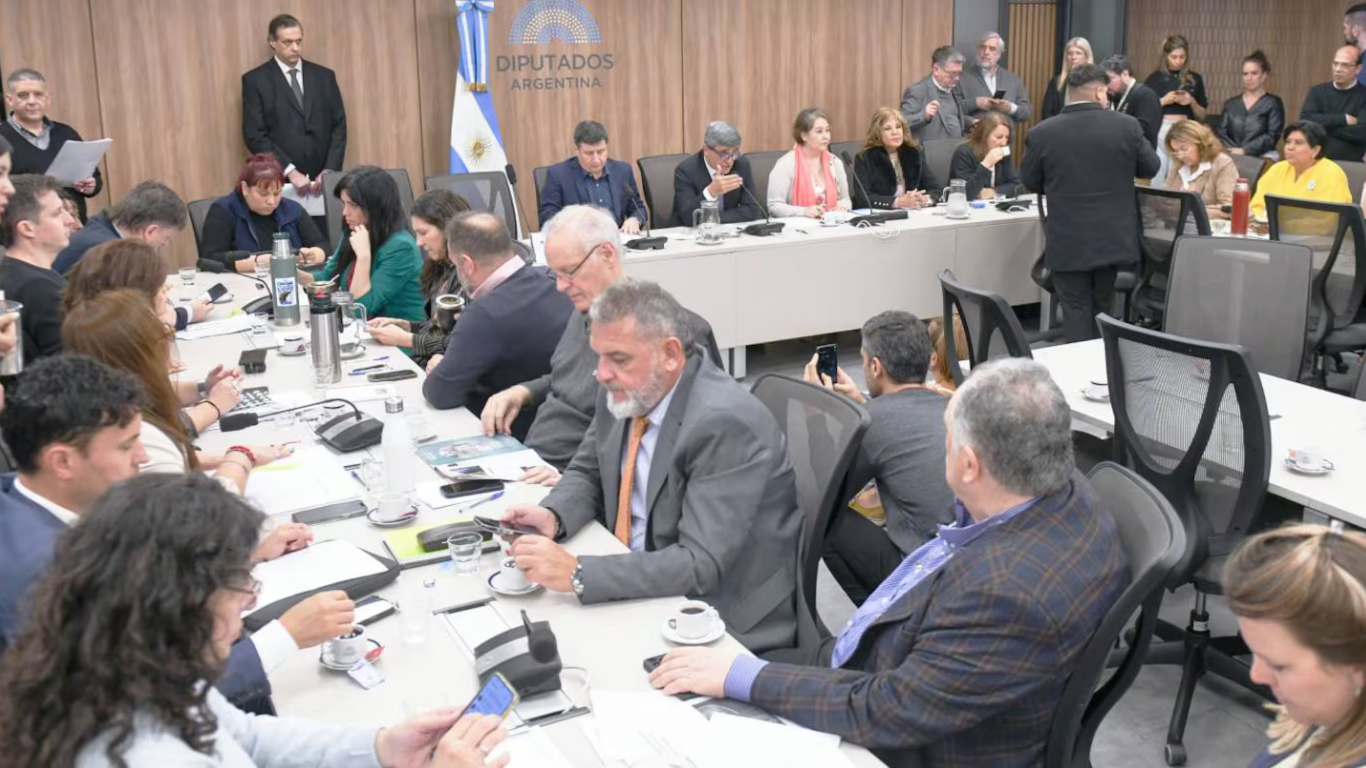 Oposición exige investigación y responsabilidades políticas por presuntas coimas en ANDIS