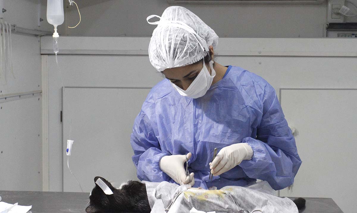 El Ministerio garantiza atención sanitaria para mascotas con operativos integrales en el marco del Día del Veterinario