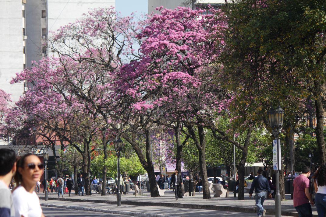 Tucumanos podrán redescubrir el Casco Histórico con visitas guiadas gratuitas