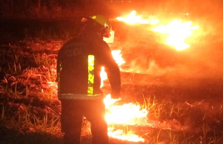 Bomberos controlaron un incendio de cañaveral en Colombres