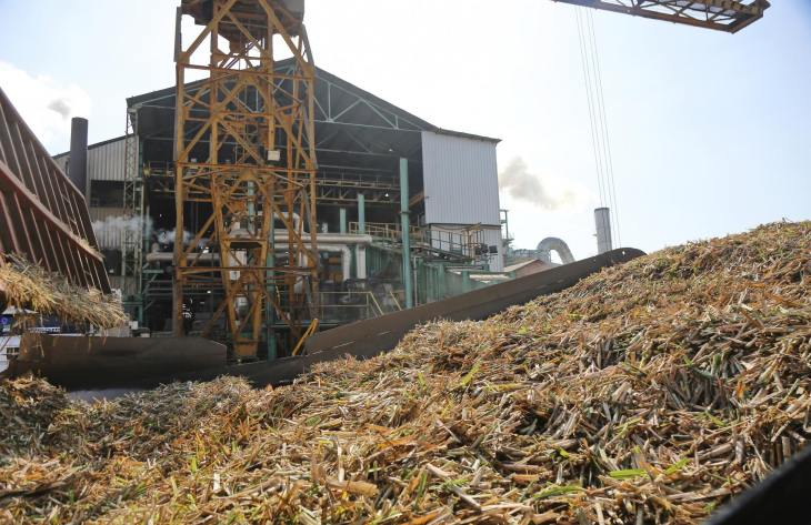La zafra tucumana alcanza el 99% y se encamina a cerrar una campaña récord