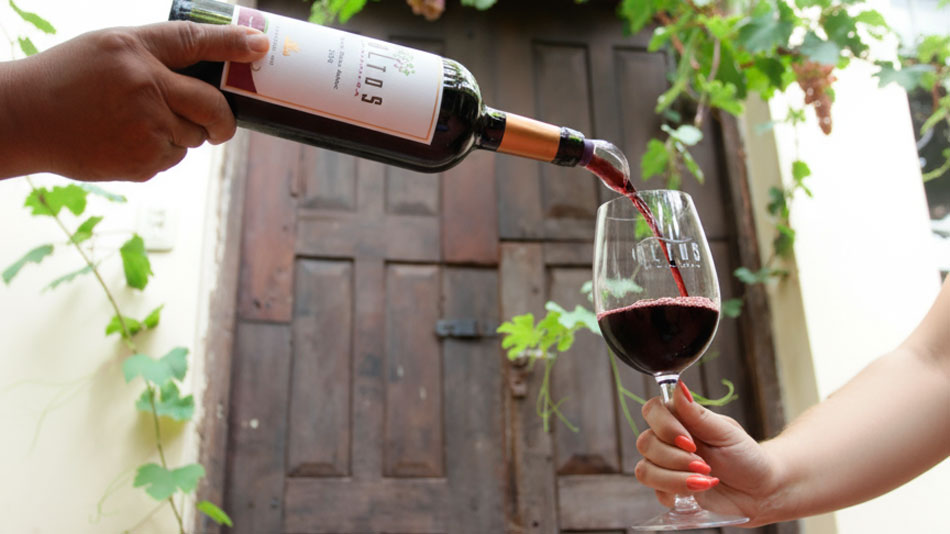 Los vinos tucumanos de altura brillan en concursos internacionales y potencian el enoturismo