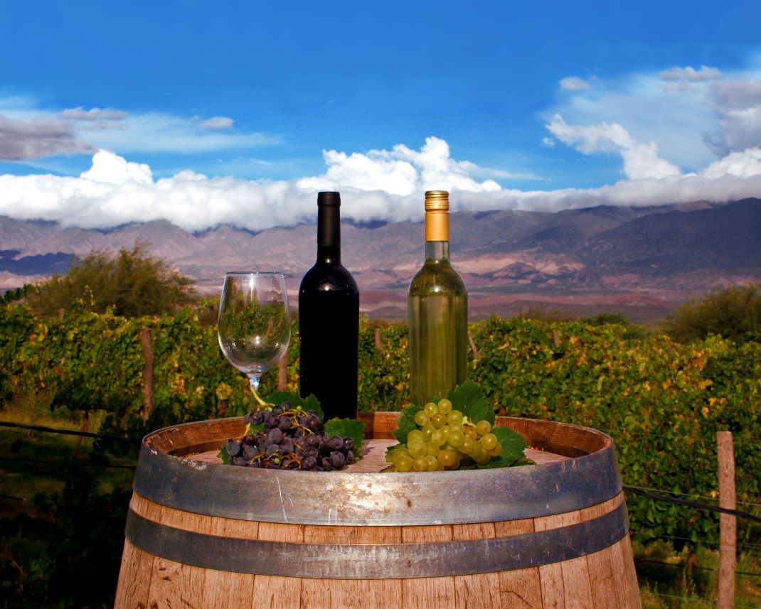 Tucumán celebra el Día Mundial del Enoturismo y sus vinos de altura conquistan el mundo