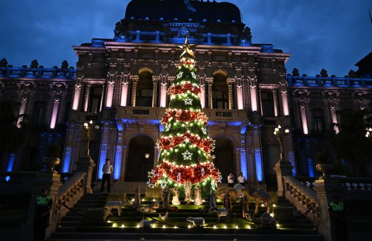 La Casa de Gobierno encendió su árbol de Navidad
