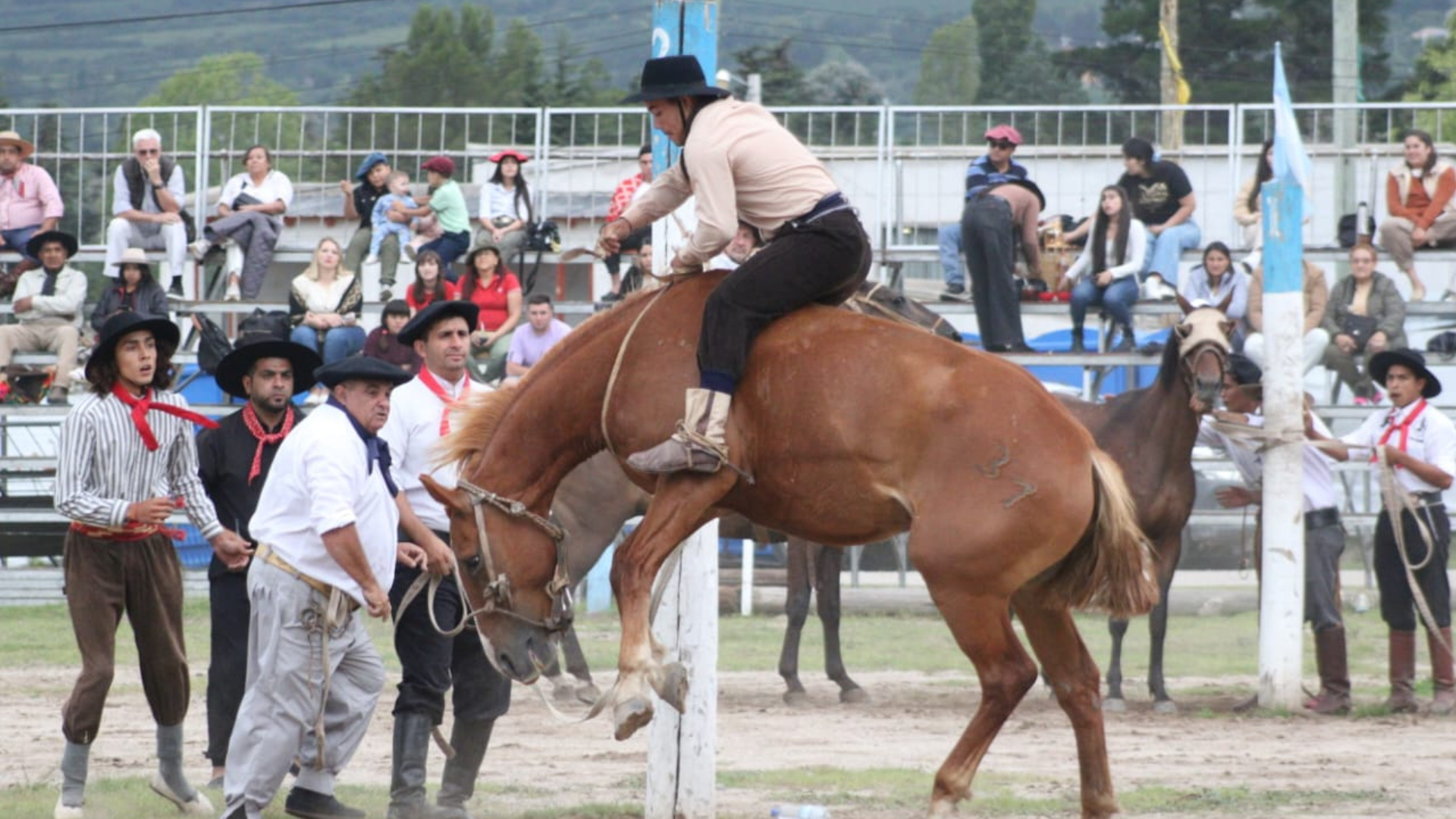 Tafí del Valle celebró la 14ª Fiesta Provincial de la Chuscha