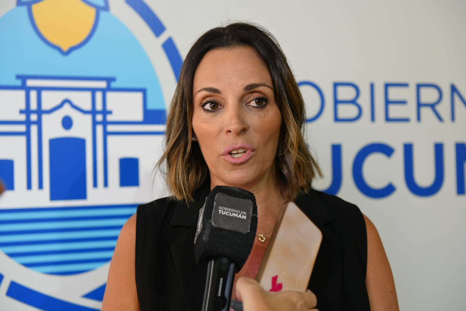 Prorrogan hasta el 16 de enero el pago anual anticipado de impuestos provinciales 2026