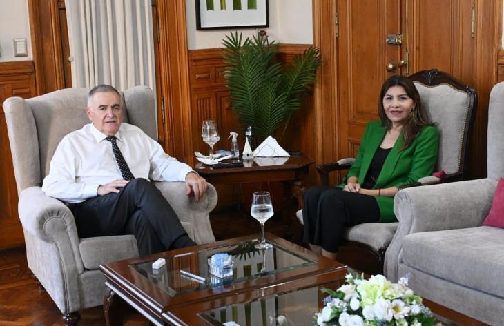 Jaldo y Mendoza coordinaron una agenda legislativa para Tucumán en el Senado