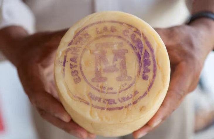 El queso de Tafí del Valle logró la Indicación Geográfica y se consolida como emblema nacional