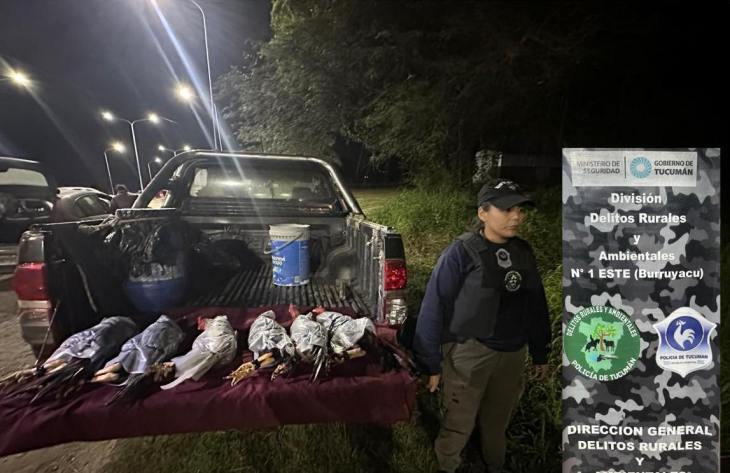 Rescatan seis gallos en un control vehicular y detectan un caso de maltrato animal