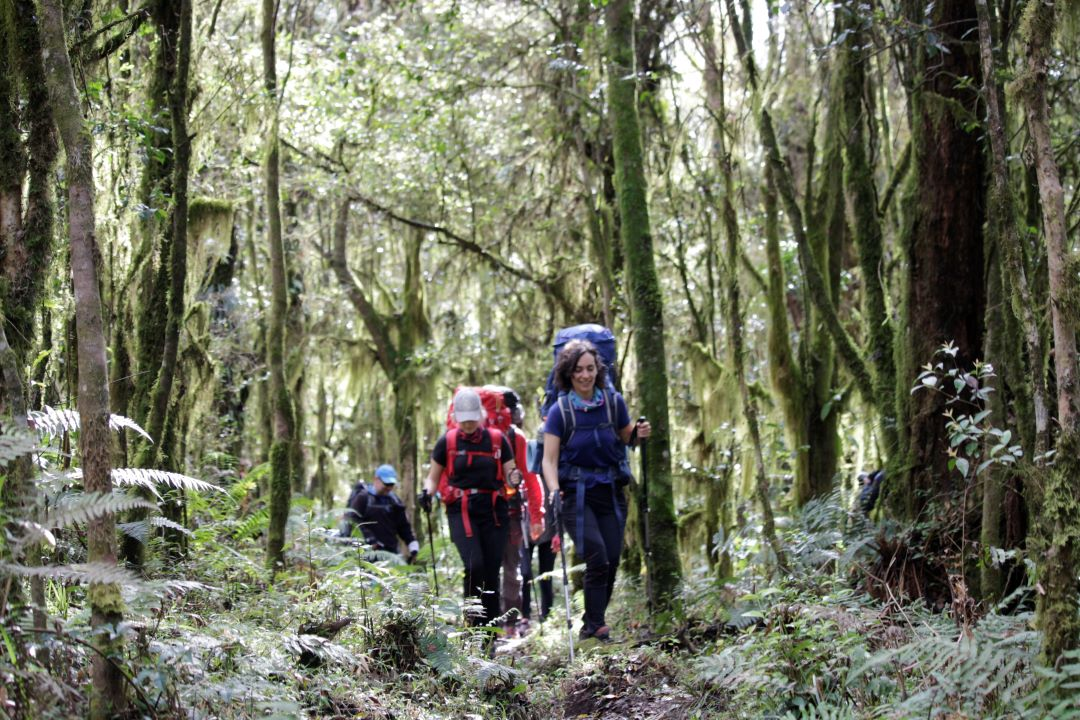 Tucumán ofrece una amplia agenda de actividades para el fin de semana